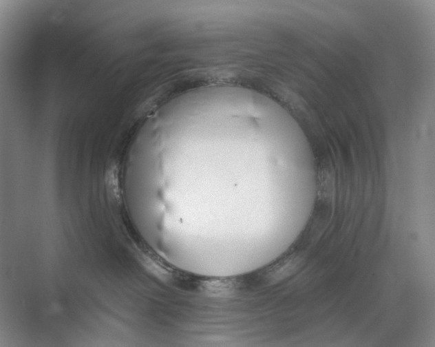 X0000073950238200609111658