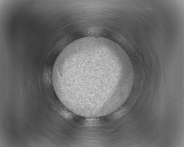 X0000073950240200609111658