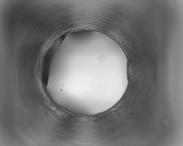 X0000073950241200609111657