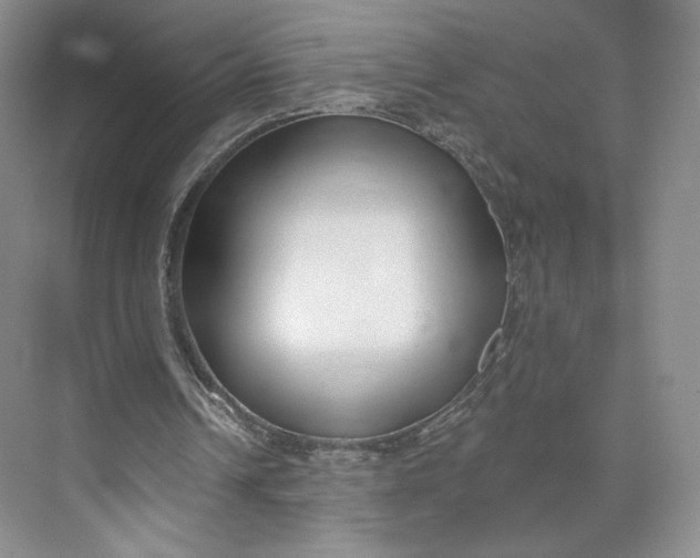 X0000073950242200609111657