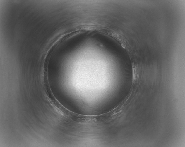 X0000073950243200609111657