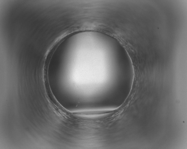 X0000073950244200609111657