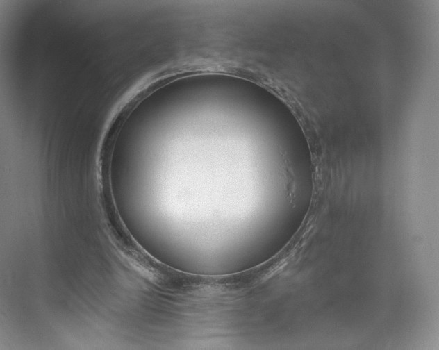 X0000073950246200609111657