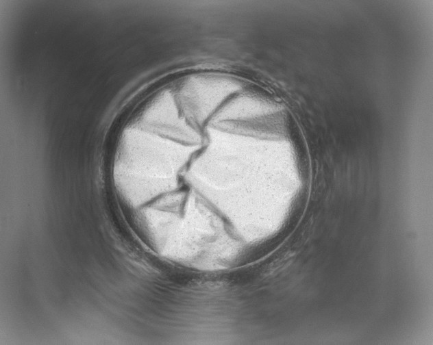 X0000073950247200609111657