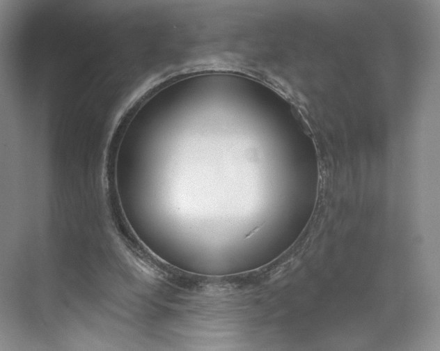 X0000073950248200609111657