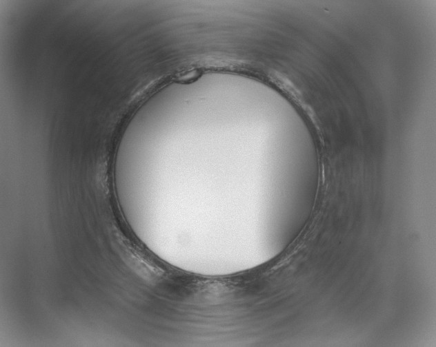 X0000073950249200609111657