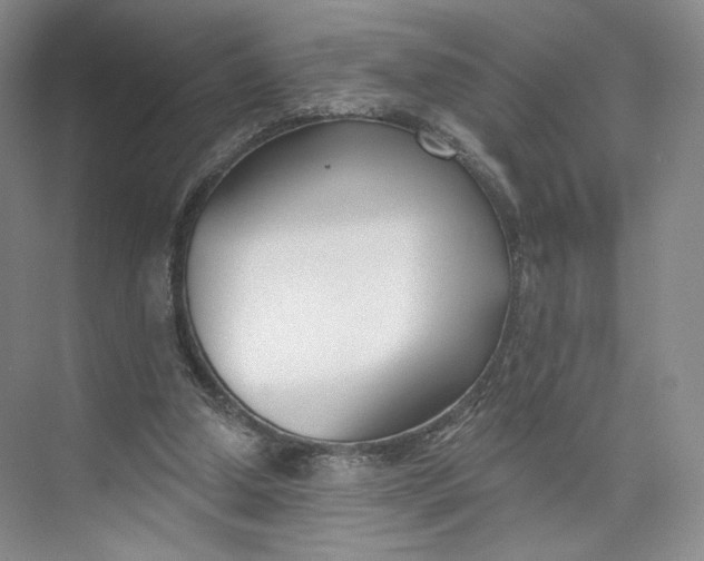 X0000073950250200609111657