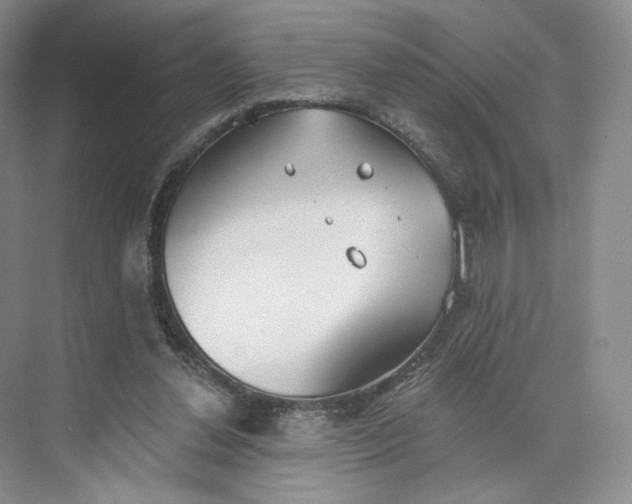 X0000073950252200609111657