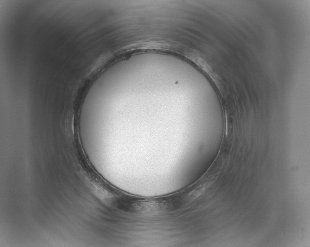 X0000073950253200609111657