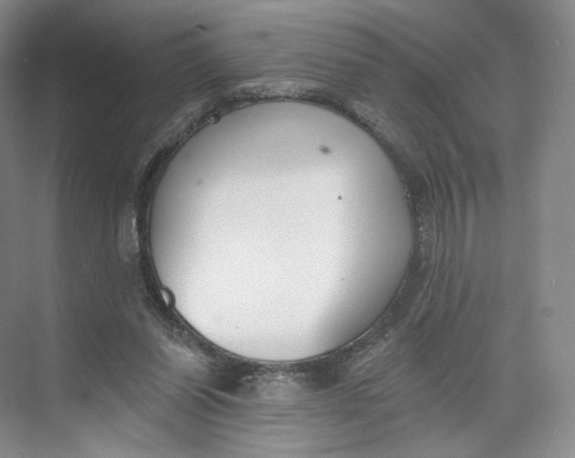 X0000073950254200609111657