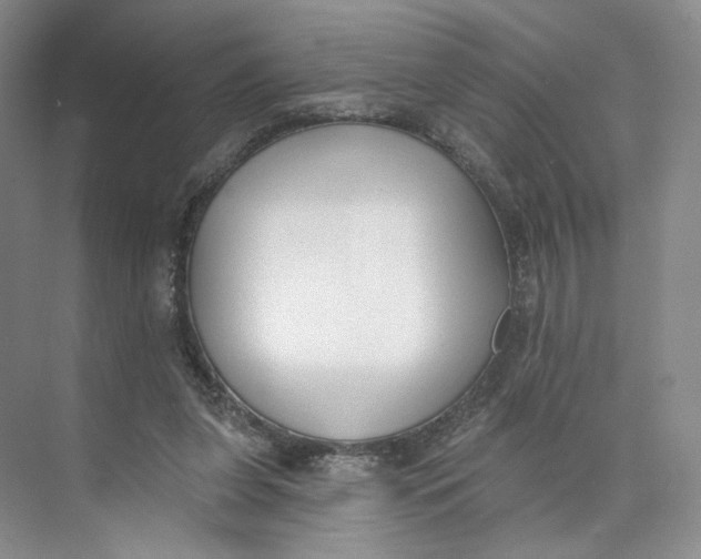 X0000073950255200609111657