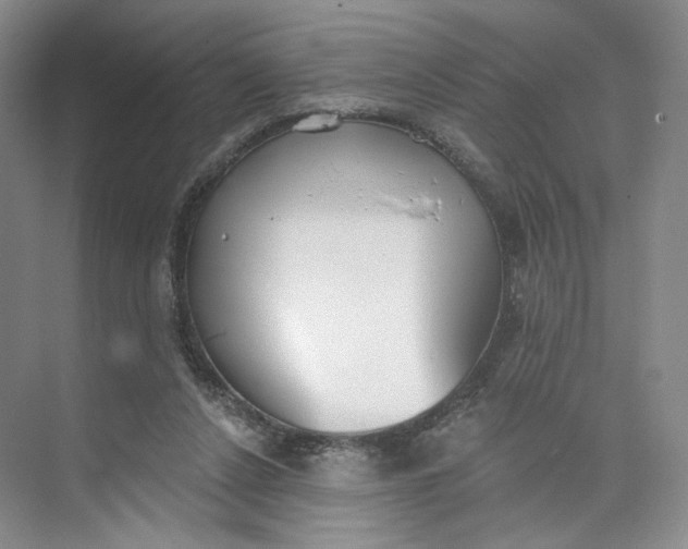 X0000073950256200609111657