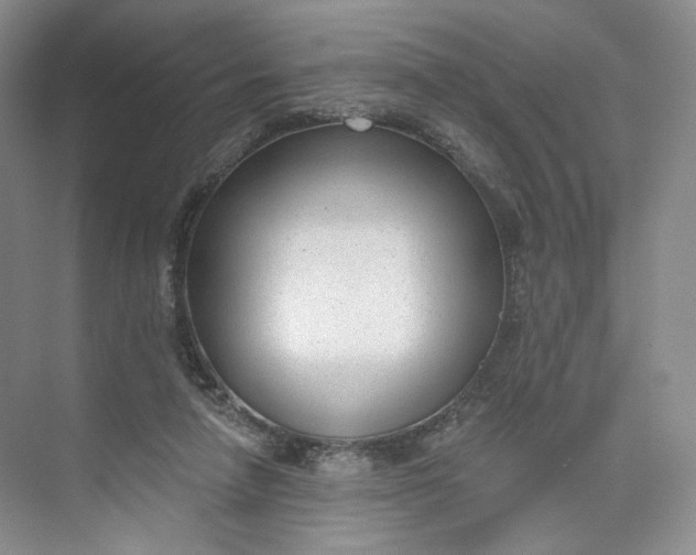 X0000073950258200609111657