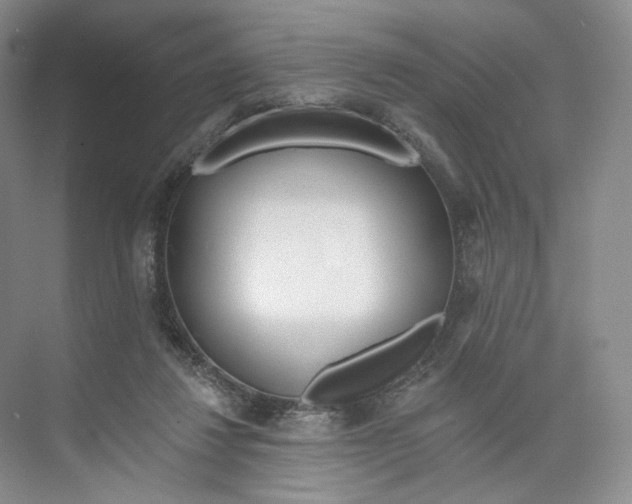 X0000073950260200609111658