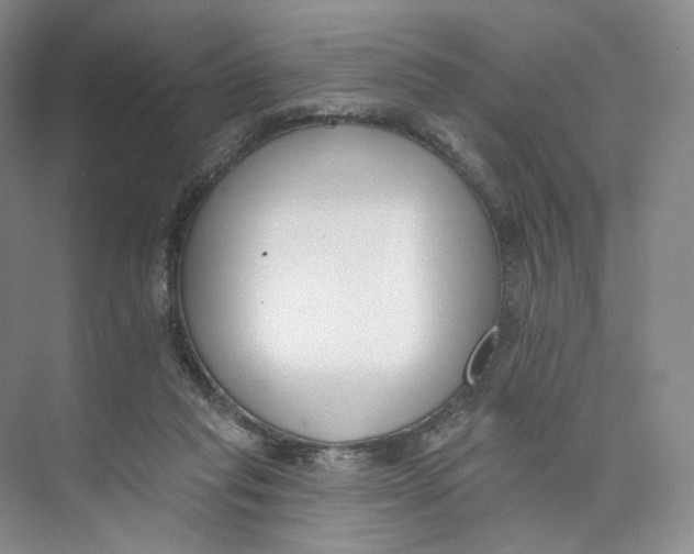 X0000073950261200609111658