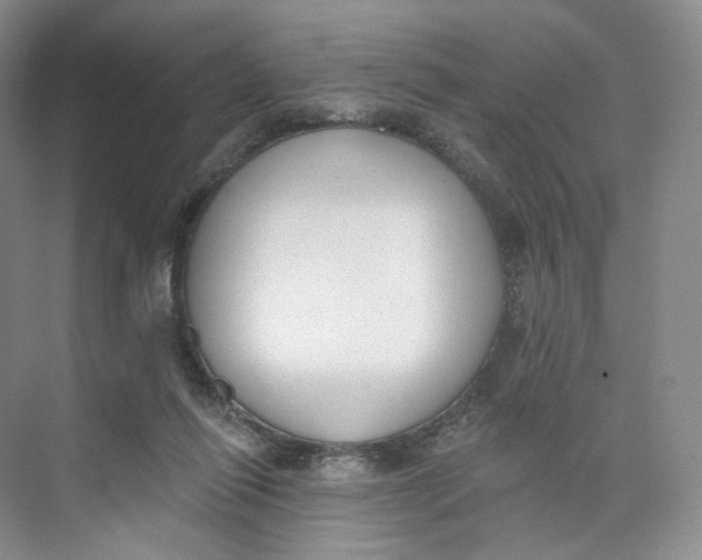 X0000073950262200609111658