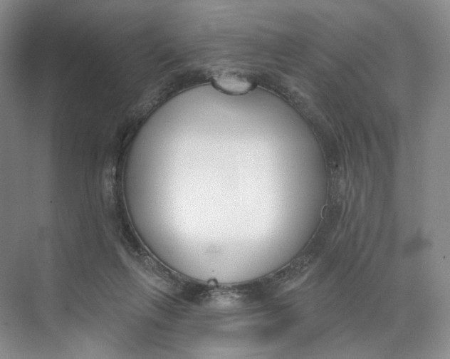 X0000073950263200609111658