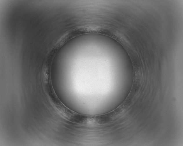 X0000073950264200609111658