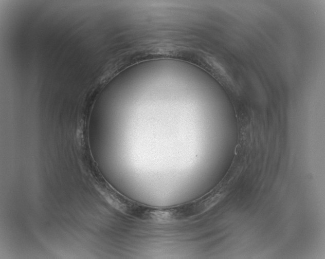 X0000073950265200609111658