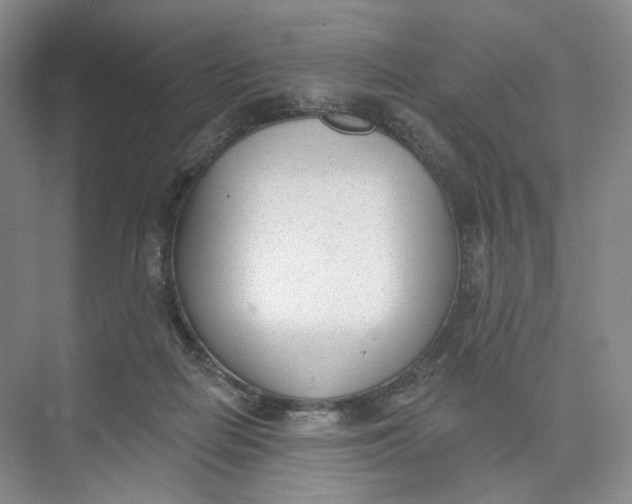 X0000073950266200609111658