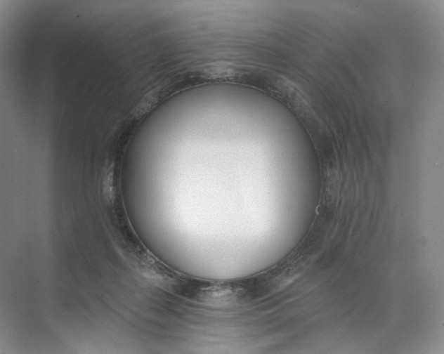 X0000073950267200609111658