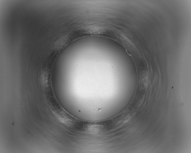 X0000073950268200609111658