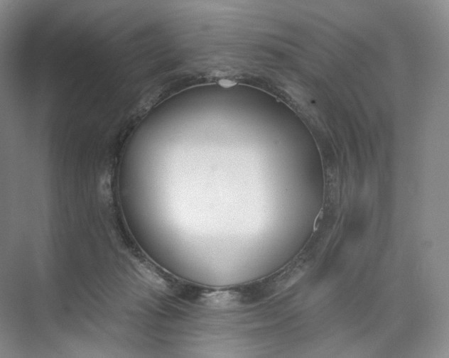 X0000073950269200609111658