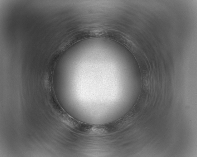 X0000073950270200609111658