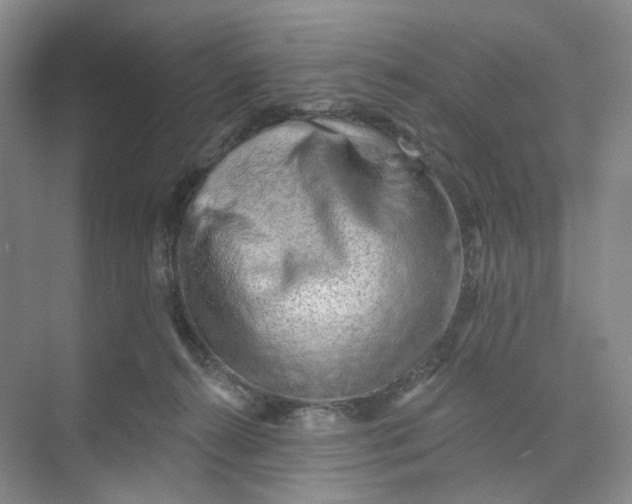 X0000073950272200609111658