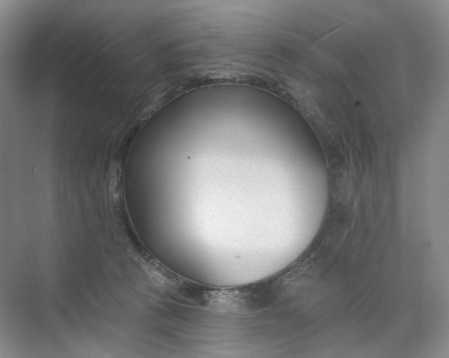 X0000073950273200609111658