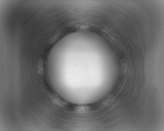 X0000073950274200609111658