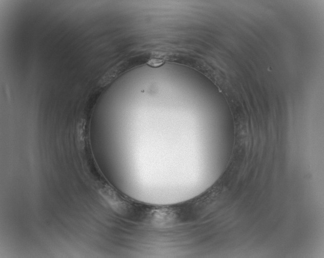 X0000073950275200609111658