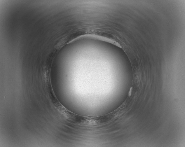 X0000073950276200609111658