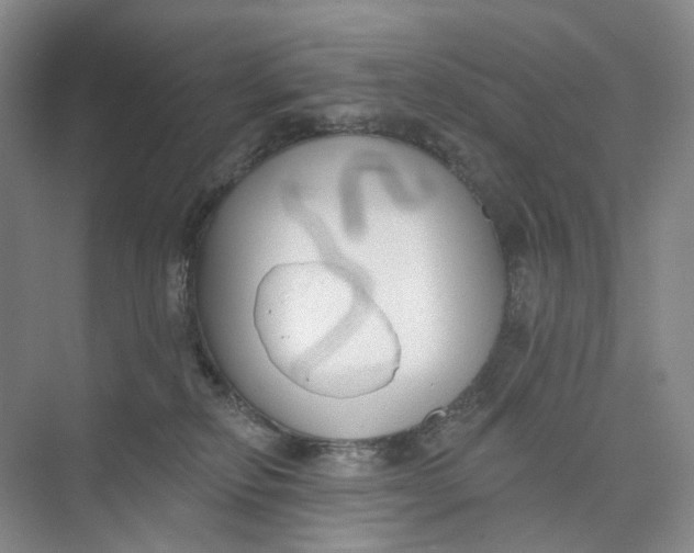 X0000073950278200609111658