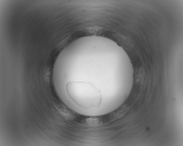 X0000073950279200609111658