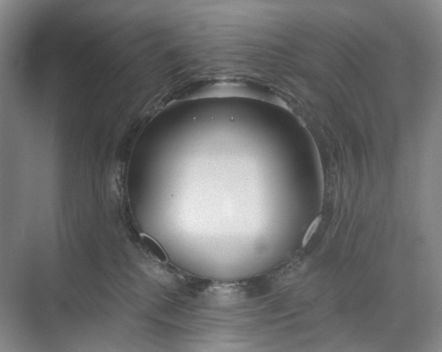 X0000073950280200609111658