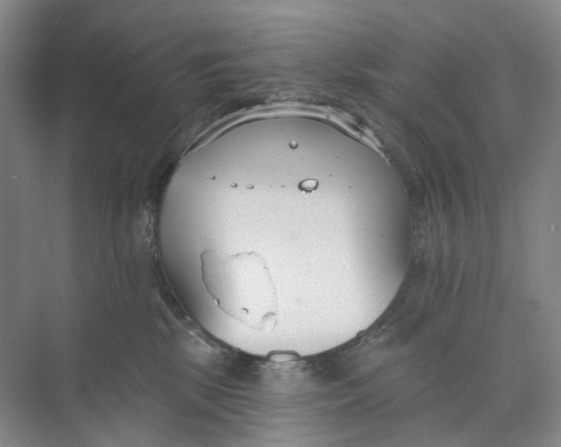 X0000073950281200609111658