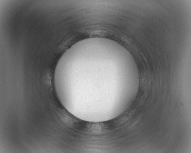 X0000073950282200609111658