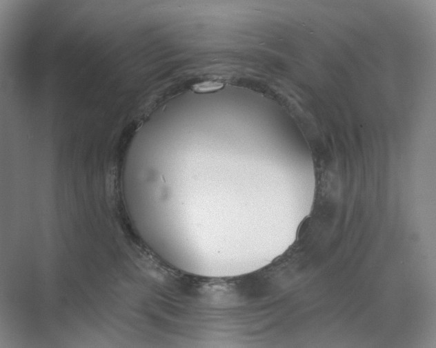 X0000073950283200609111658