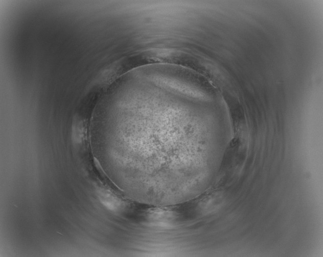 X0000073950284200609111658