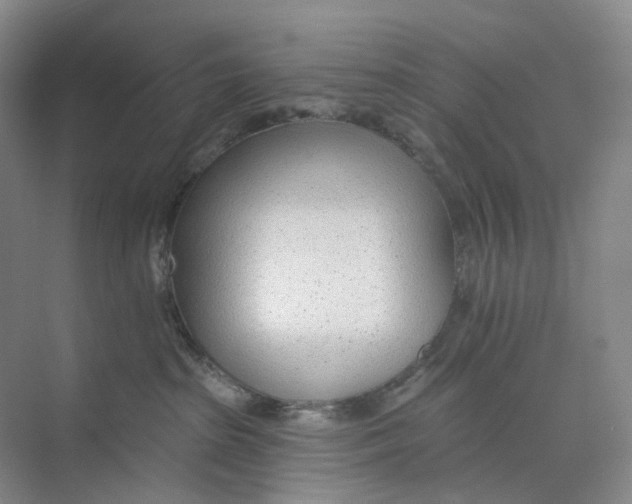 X0000073950285200609111658