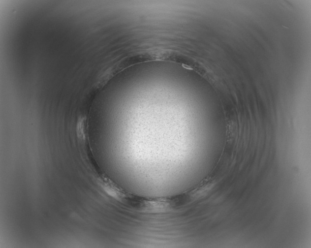 X0000073950286200609111658