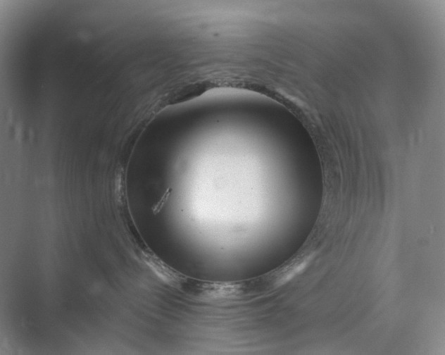 X0000073950288200609111658