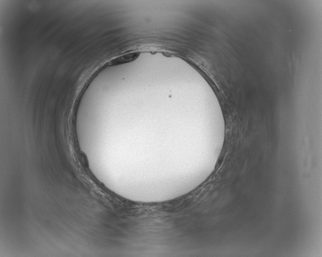 X0000073950289200609111657