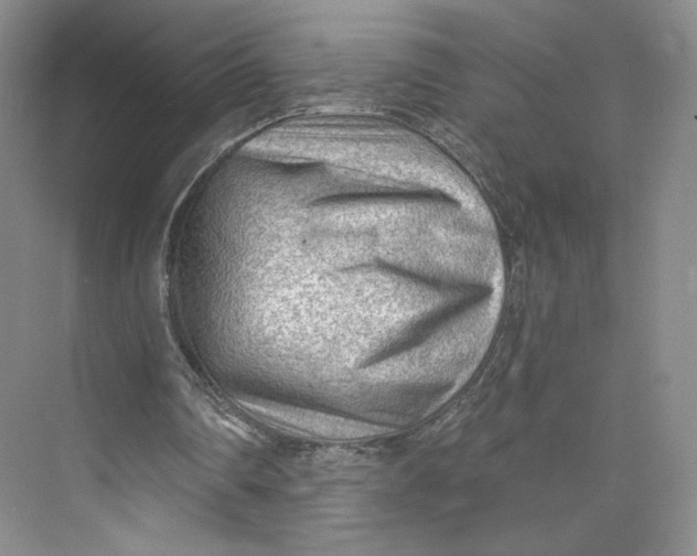 X0000073950290200609111657