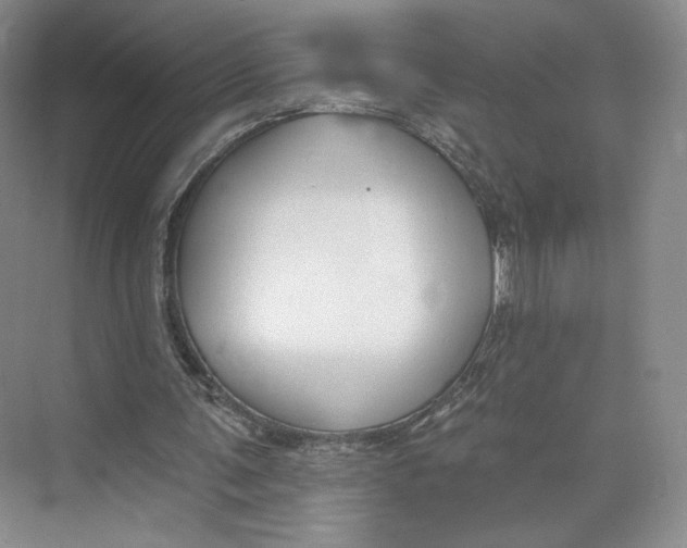 X0000073950291200609111657