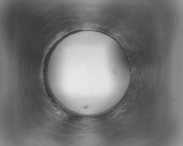 X0000073950292200609111657