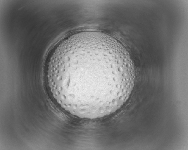 X0000073950293200609111657