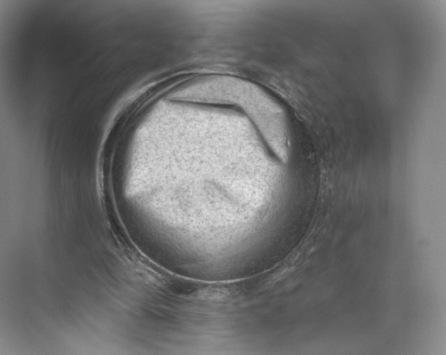 X0000073950294200609111657