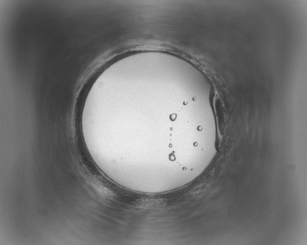 X0000073950296200609111657